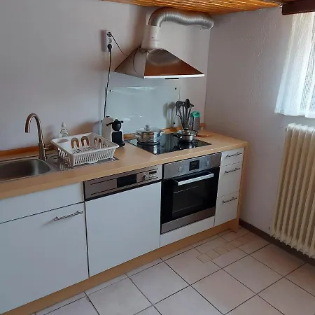 Am Baechle Apartamento Münstertal