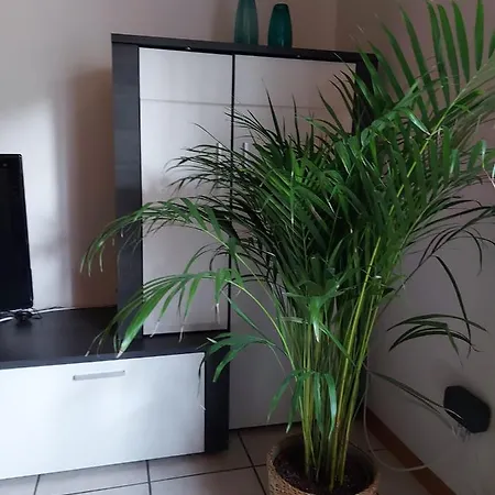Ferienwohnung Am Baechle